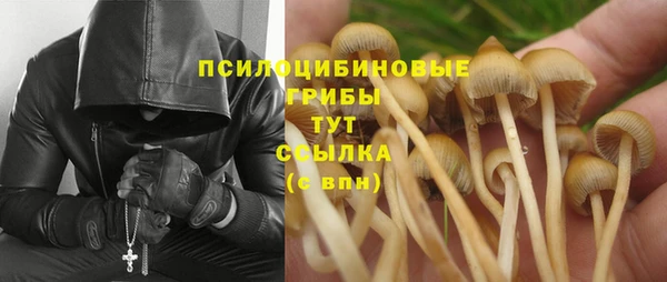 a pvp Осташков