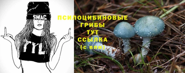 прущий лед Осинники