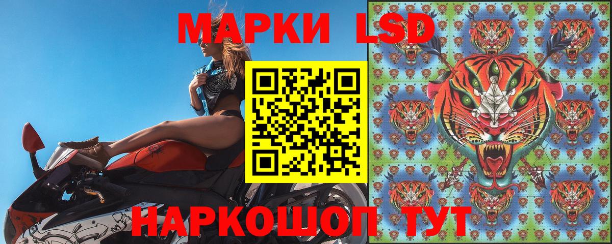 Наркотические марки  Марки 25I-NBOMe 1500мкг  Вход с VPN  Марки 25I-NBOMe 1500мкг  Курчатов 
