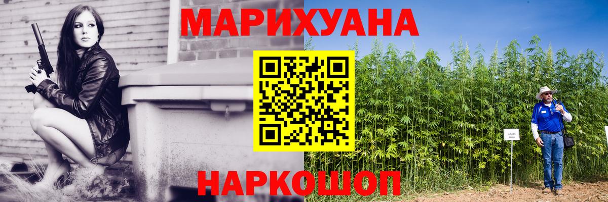 Конопля марихуана  Бошки марихуана план  Курчатов  Каннабис Bruce Banner 